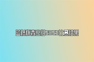 蓝桥杯青少组2023比赛结果 