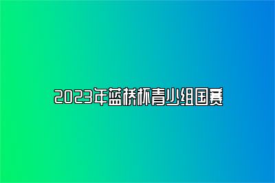 2023年蓝桥杯青少组国赛