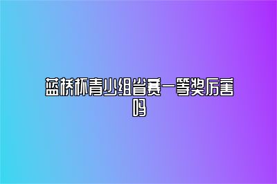 蓝桥杯青少组省赛一等奖厉害吗