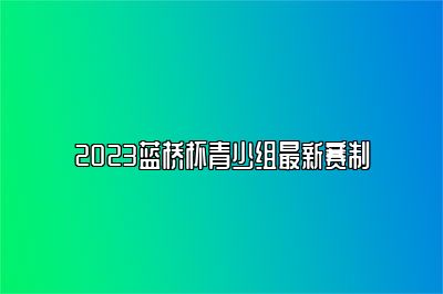 2023蓝桥杯青少组最新赛制 