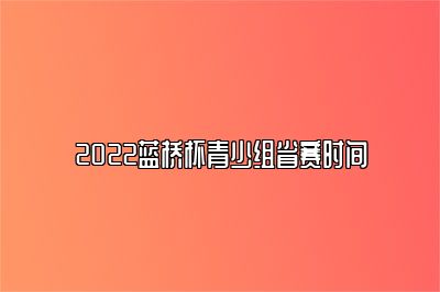 2022蓝桥杯青少组省赛时间