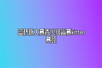 蓝桥杯大赛青少组省赛kitten赛项 