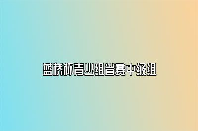 蓝桥杯青少组省赛中级组 