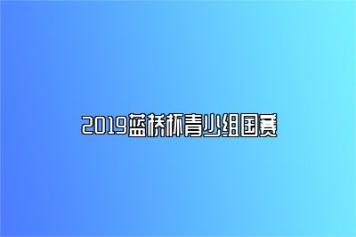 2019蓝桥杯青少组国赛