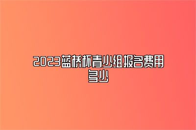 2023蓝桥杯青少组报名费用多少