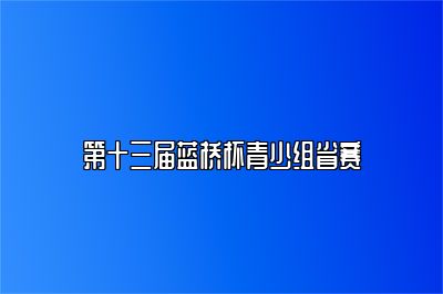 第十三届蓝桥杯青少组省赛 