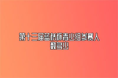 第十三届蓝桥杯青少组参赛人数多少 