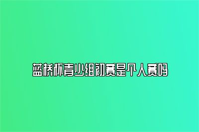 蓝桥杯青少组初赛是个人赛吗