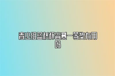 青少组蓝桥杯省赛一等奖有用吗