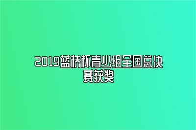 2019蓝桥杯青少组全国总决赛获奖