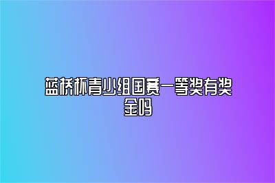 蓝桥杯青少组国赛一等奖有奖金吗 