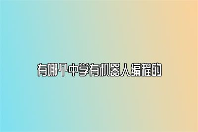 有哪个中学有机器人编程的 