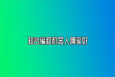知名编程机器人哪家好 